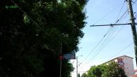 Imagine atasata: 20140612_155954.jpg
